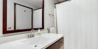1Bd/1Ba Seattle Condo Gallery 16