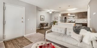 Fox & Hounds Gallery 7