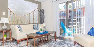 Autumn Wood Gallery 1