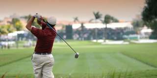 Allure by Windsor Gallery 40