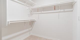 7019 CAPELLA CV Gallery 21