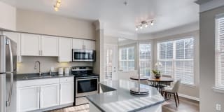 Lowry Park Gallery 3