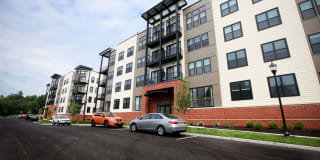 Excelsior Park Gallery 51