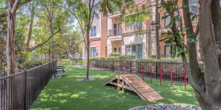 The Circle at Hermann Park Gallery 19