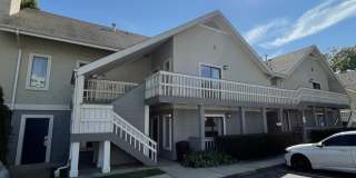 New Haven Village Suites Gallery 1