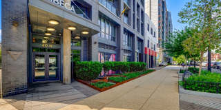 Tribeca Noma Gallery 10
