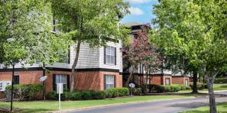 Windsor Lake Gallery 36