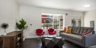 The Harrington Gallery 13