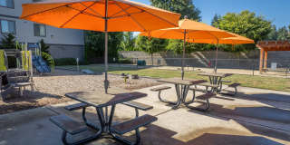 Trio Pointe Gallery 37