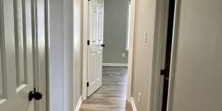 117 Pine Gallery 7