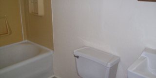 519 Sarah Street Gallery 7