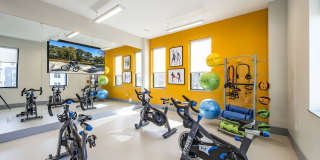 The Buckley Gallery 4