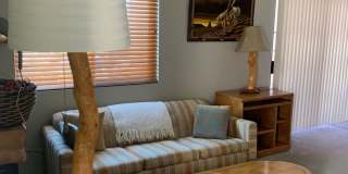 LP 242 Gallery 1