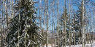 623 Faraway Road Gallery 24