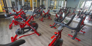 Modera 44 Gallery 26