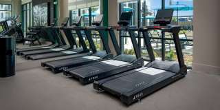 North Grove Gallery 70