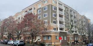 1Bd/1Ba Seattle Condo Gallery 1