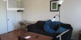 Large 2 bed located near the Green Line in Allston. Gallery 7
