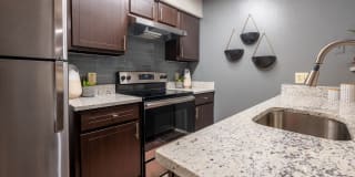 Canopy on Central Gallery 8