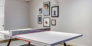 Agave Gallery 67