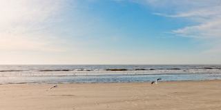 Furnished Villa at Hilton Head Resort with Beach Access - Available June 10 Gallery 8
