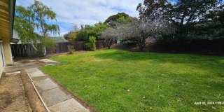 Orcutt Single Story Recently Updated Home with Large Yard Gallery 43
