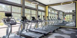 Domain at Midtown Park Gallery 11