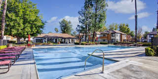 Castlepark Gallery 17