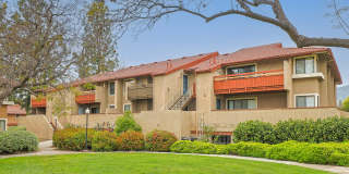 Citrus Place Gallery 52