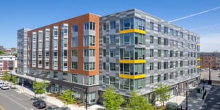 The Harvey Gallery 1