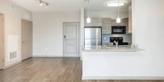 RIZE at Winter Springs Gallery 107