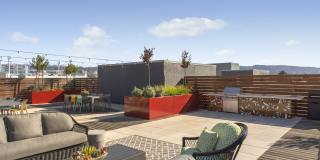 Telegraph Arts Gallery 4