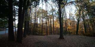 Studio Apartment for Rent at Dixon Dr Gallery 15