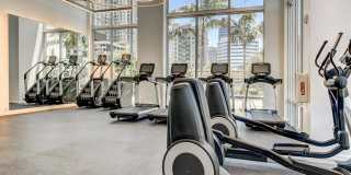 Pearl at Flagler Village Gallery 22