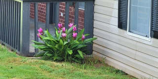 1030 Hunter Trail Gallery 27