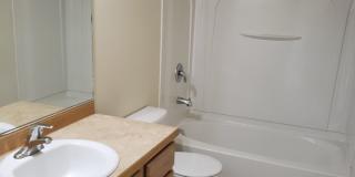 2229 Jasper Lane Gallery 3