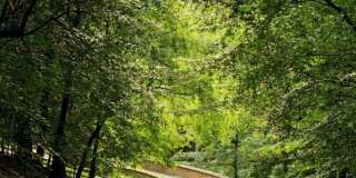 9723 BEMAN WOODS Way Gallery 68