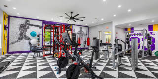 Indigo Park Gallery 19