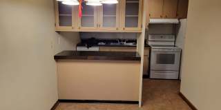4030 15th Ave S Apt 11C Gallery 16