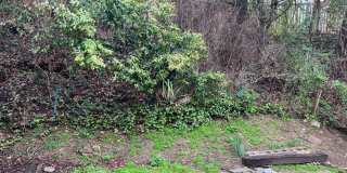 1720 Kavanaugh Blvd., Little Rock AR 72205 - Updated Heights 2br 1ba duplex Gallery 15