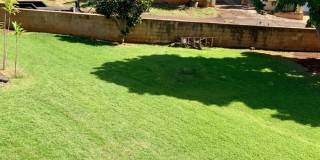 Charming Singe Family Home 3/1/2 with Spacious & Fenced Yard Gallery 23