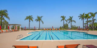 2480 Bear Rock Gln Gallery 25