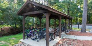 Crestline Cary Gallery 33