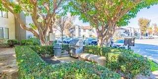 The Landing at Long Beach Gallery 5