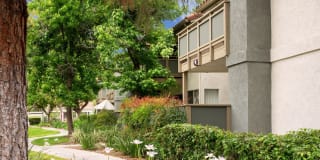 Sedona Gallery 23