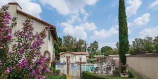 Downstairs 2-Bedroom Condo in Banning--55+ Gated Community! Gallery 19