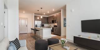 Solis Gainesville Gallery 40