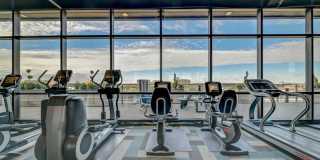 Arrive 2801 Gallery 34