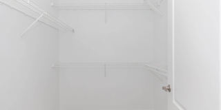 The Rothbury Gallery 137