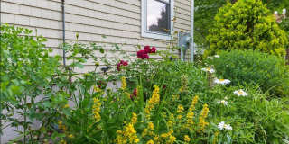 $2,600 2BD/2BA Single Family Home!! W/D In Unit & Storage in Basement! Available 8/1 Gallery 18